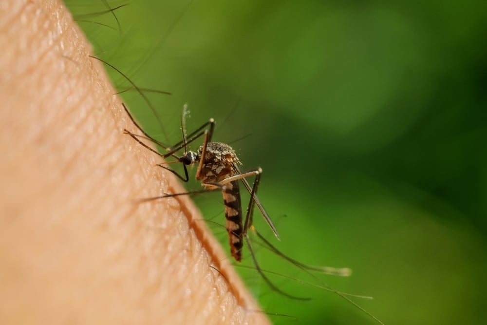 Mosquito Control Kansas City